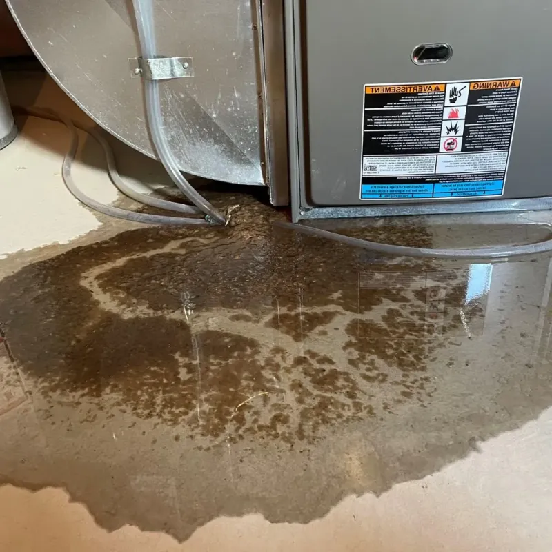 Pipe Burst and Leak Restoration in Sykesville, MD